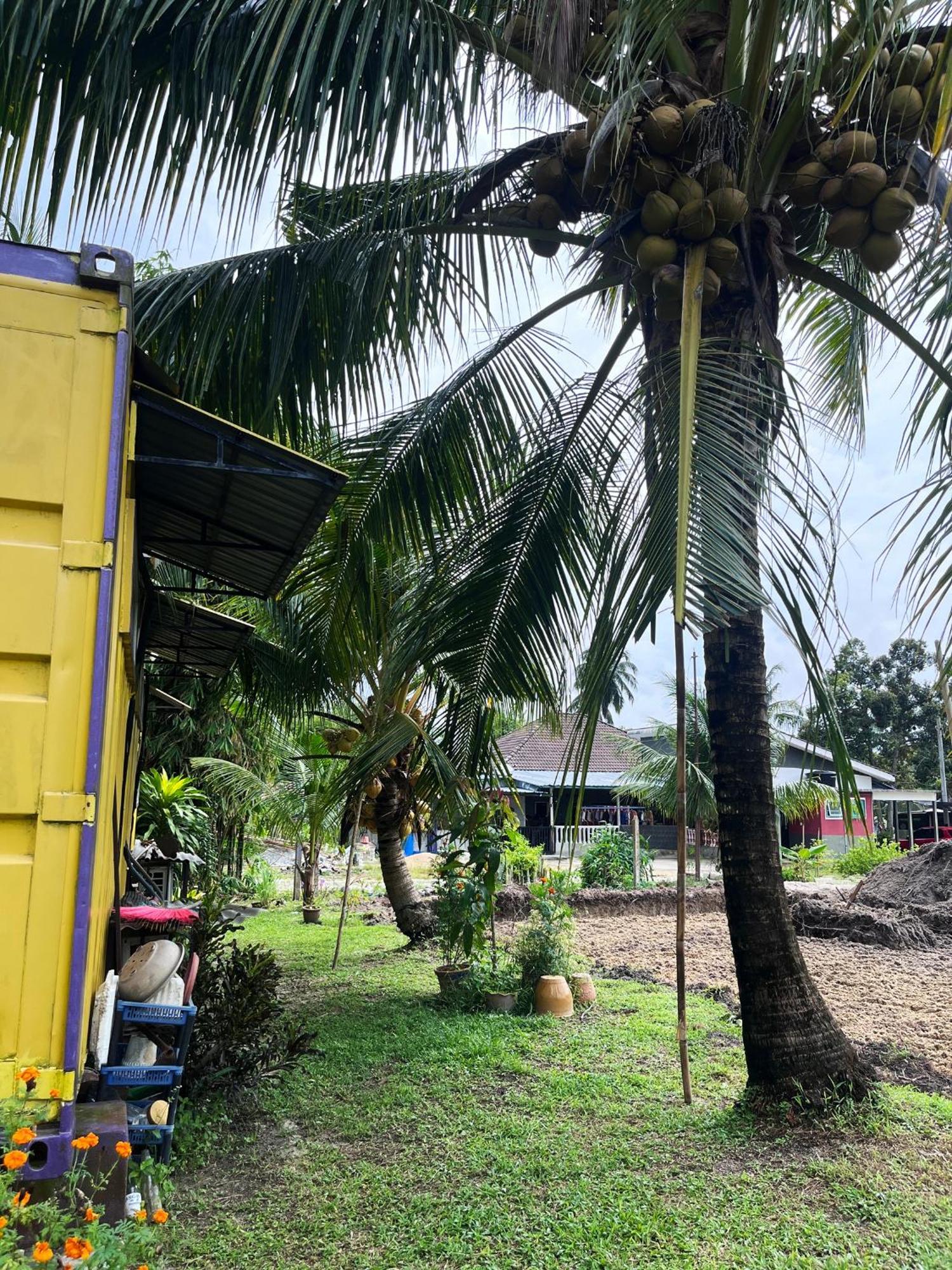 Purple Cube At Lumut Cube Homestay Kontena Exteriör bild